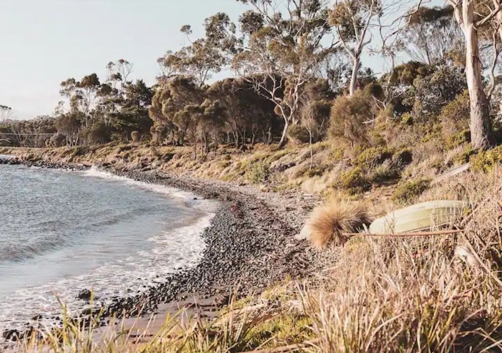 Photo of Others in Alonnah