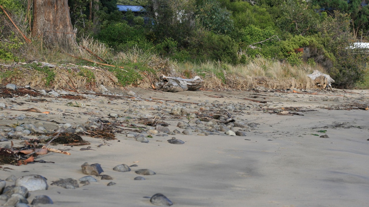 Photo of Others in Alonnah