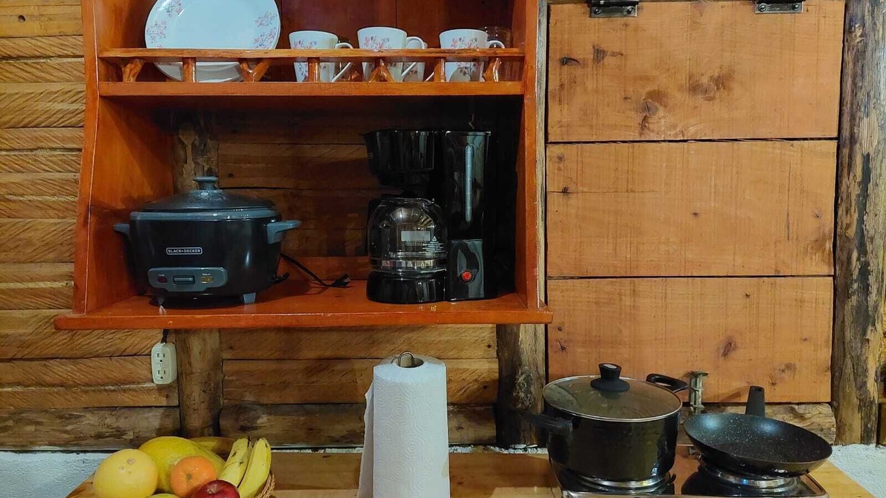 Photo of Kitchen in Venecia