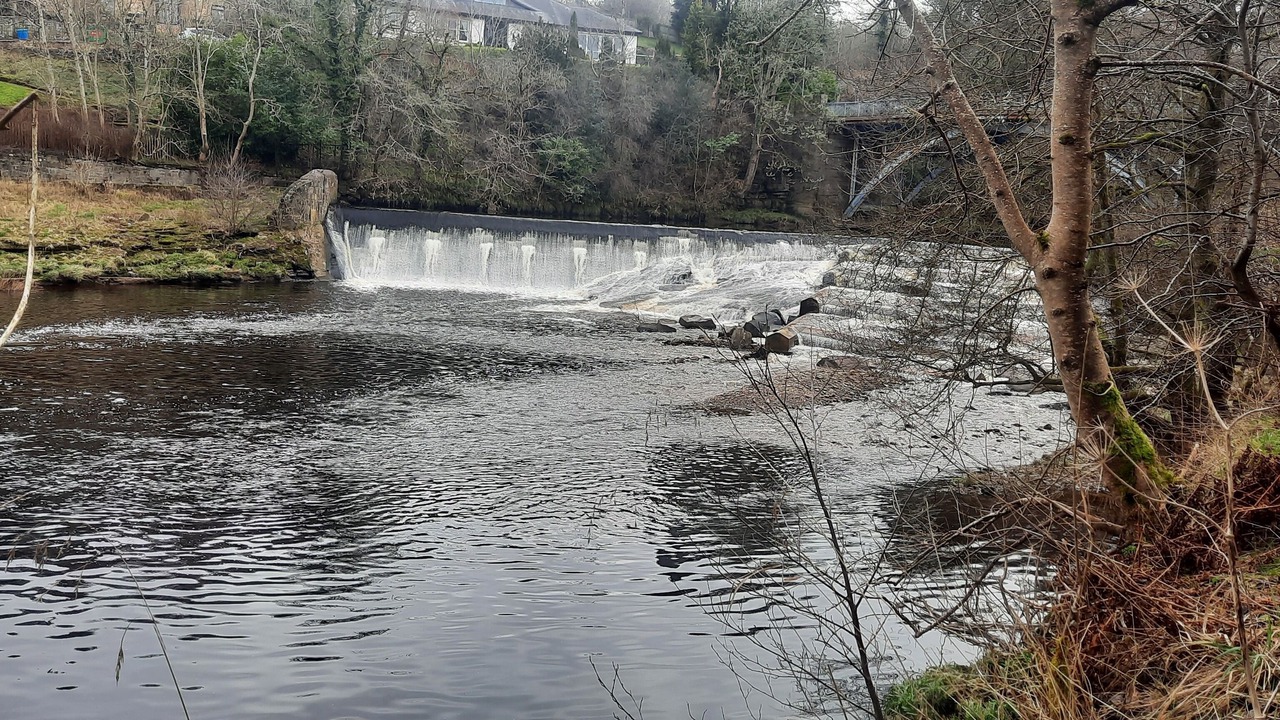 Photo of Others in Larkhall
