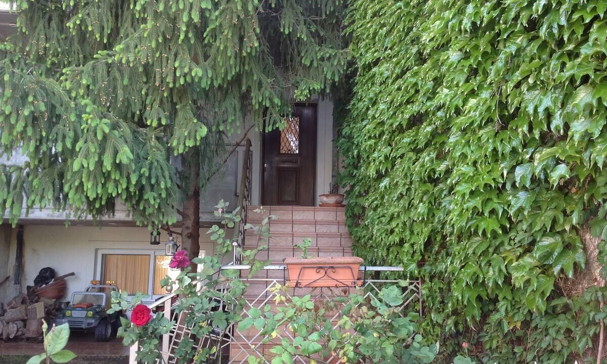 Photo of Outdoor in Vilia