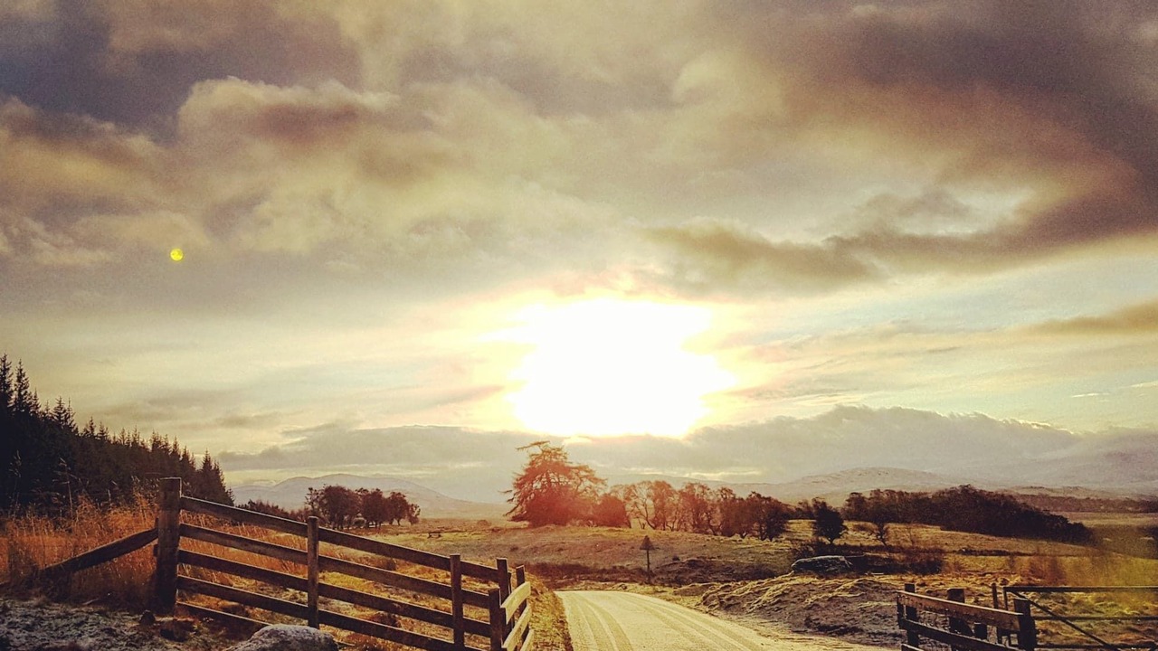Photo of Others in Newtonmore