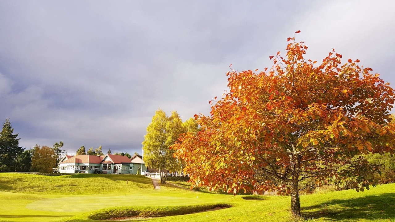 Photo of Others in Newtonmore