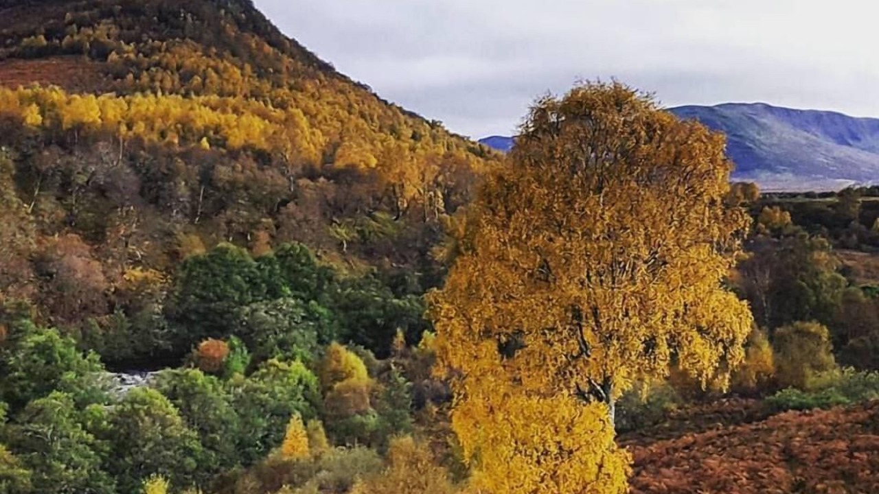 Photo of Outdoor in Newtonmore