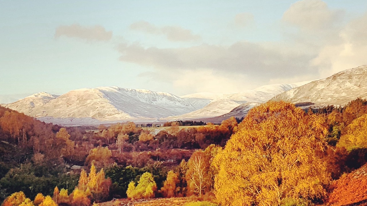 Photo of Outdoor in Newtonmore
