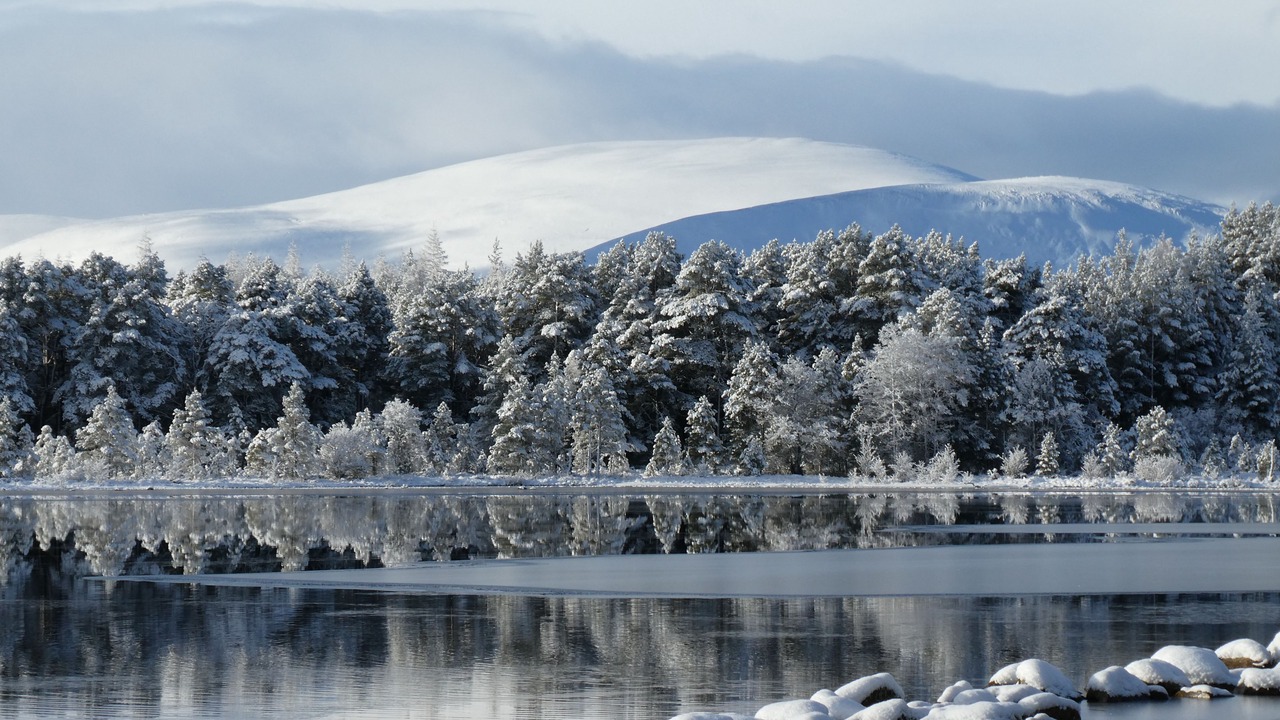Photo of Outdoor in Newtonmore