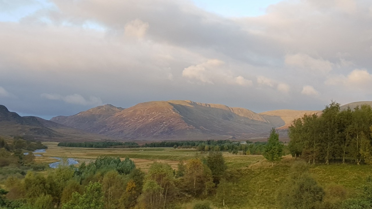 Photo of Others in Newtonmore