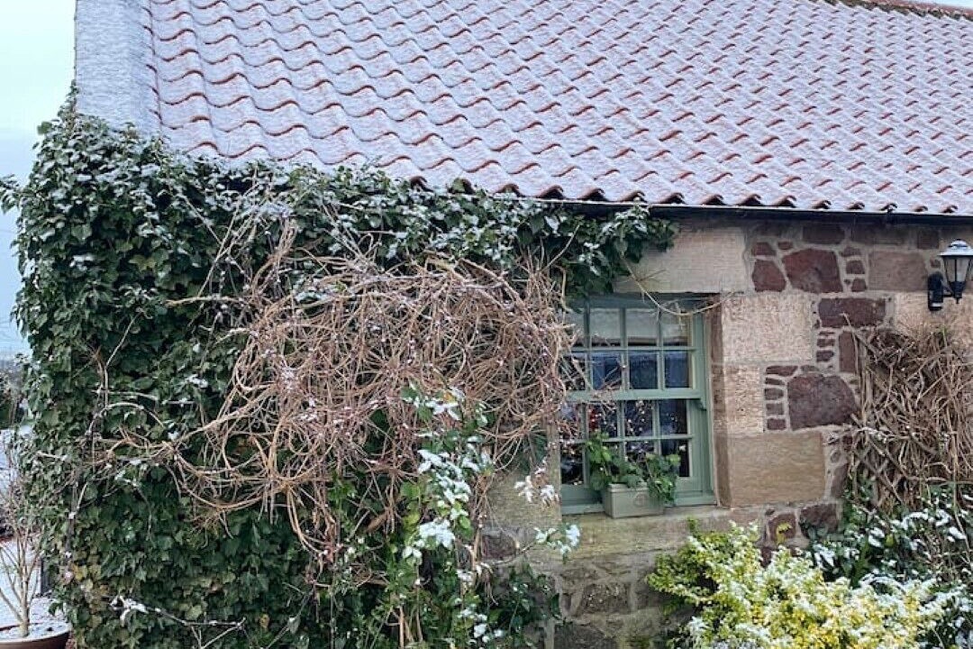 Photo of Others in East Linton