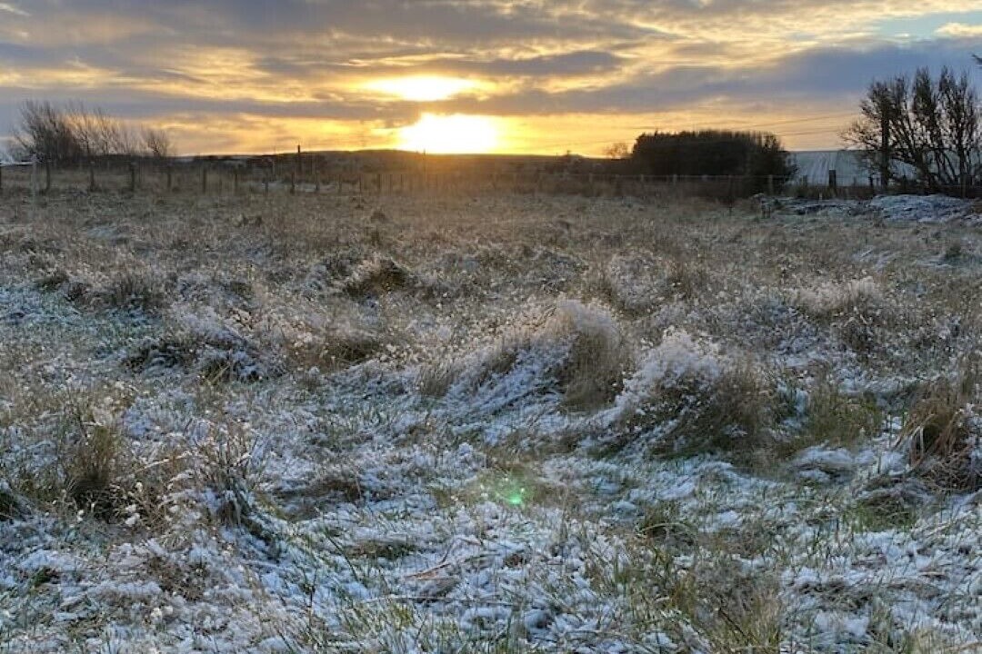 Photo of Others in East Linton