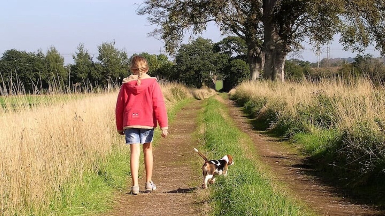 Photo of Others in East Linton