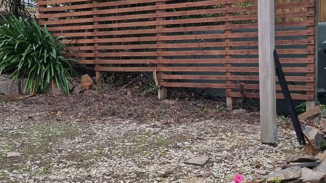 Photo of Outdoor in Clarence Point