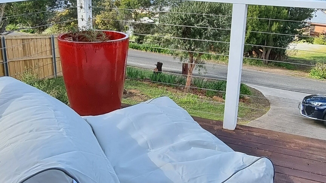 Photo of Outdoor in Clarence Point