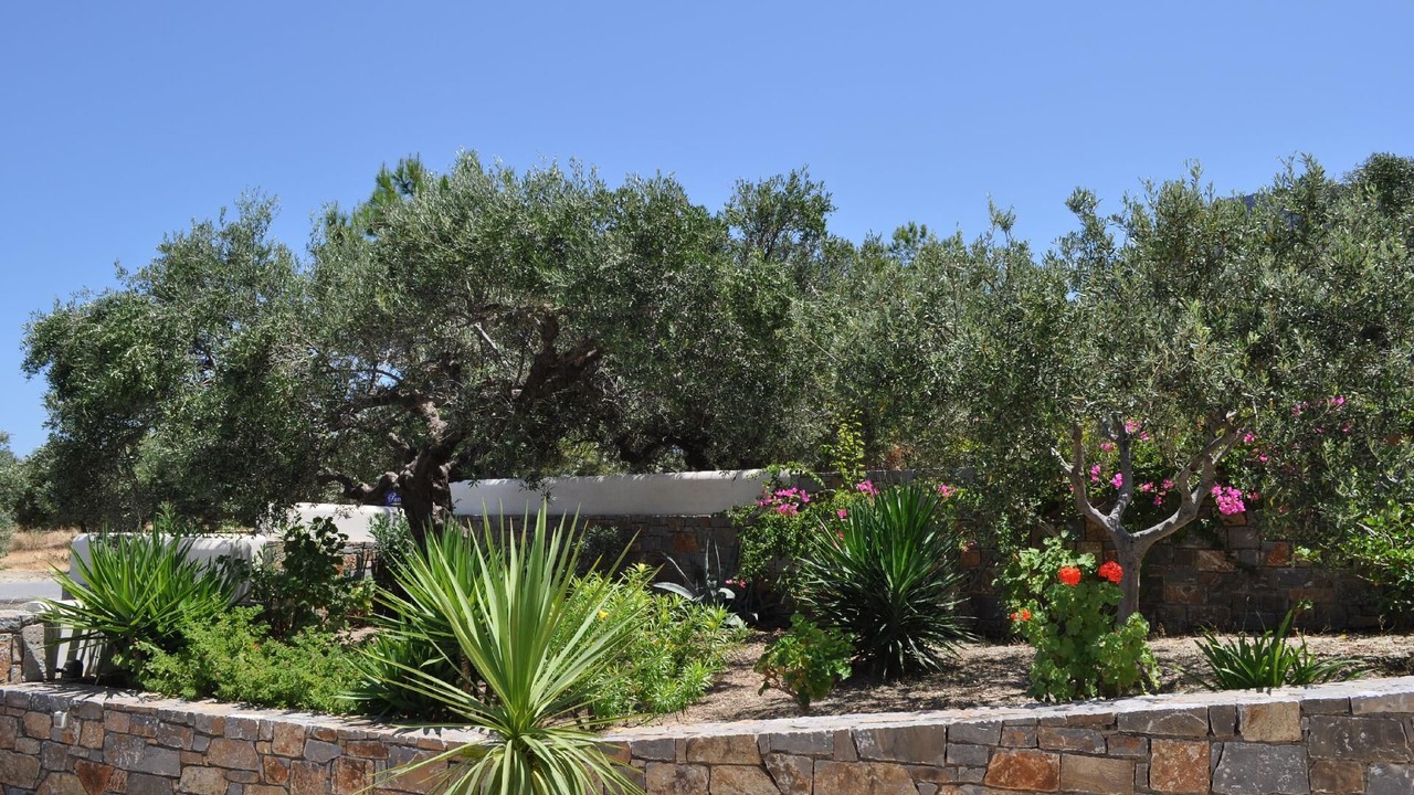 Photo of Outdoor in Old Hersonissos