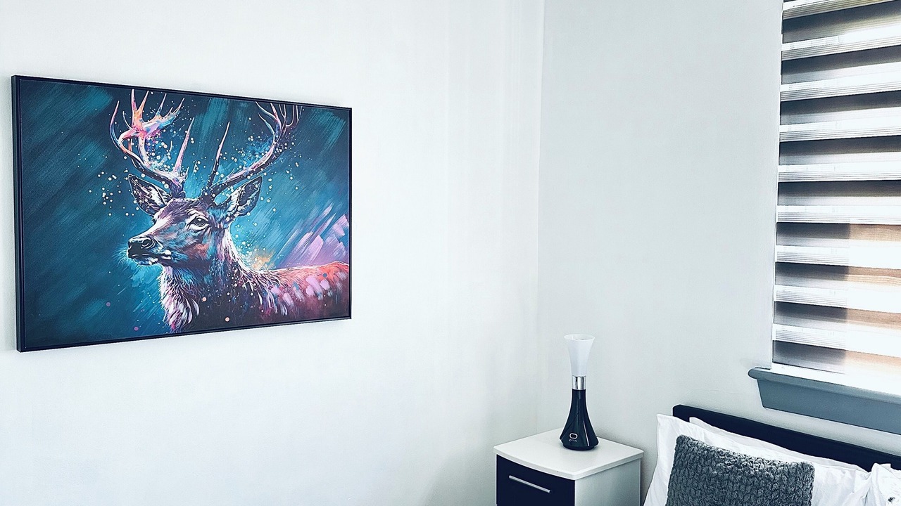 Photo of Bedroom in Aberdeen