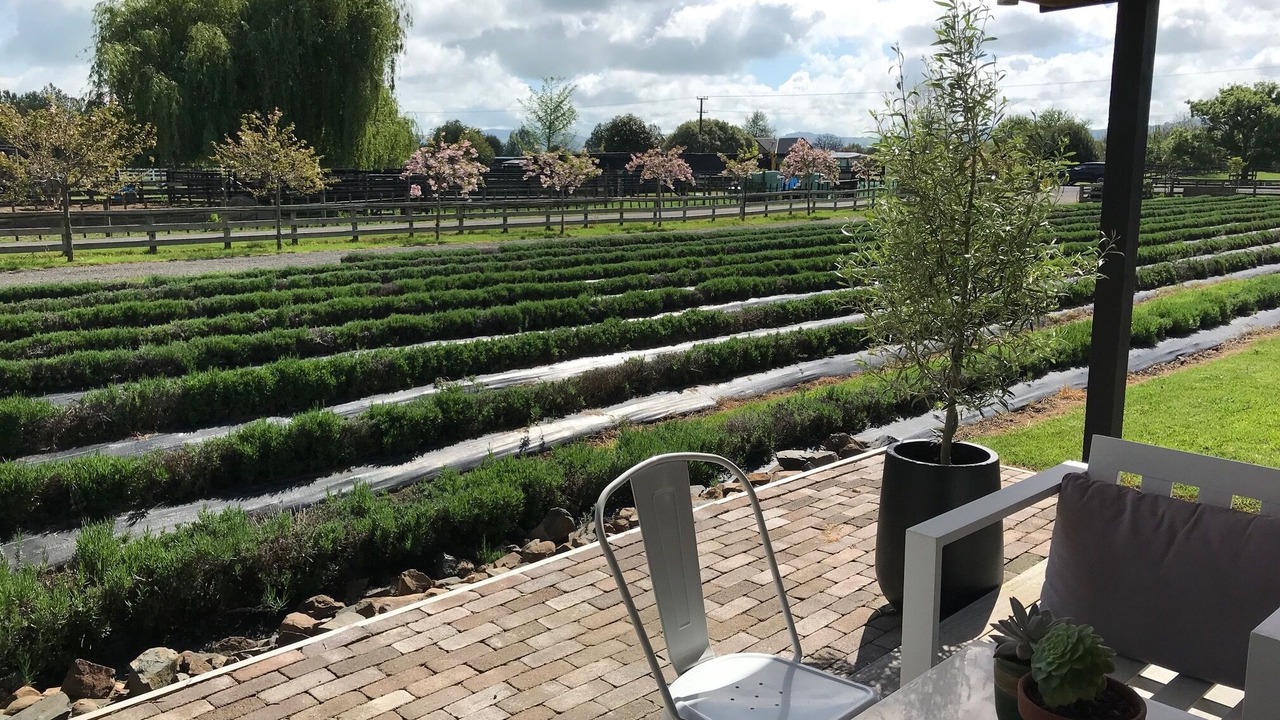 Photo of Outdoor in Cambridge