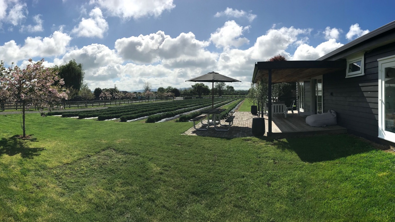Photo of Outdoor in Cambridge
