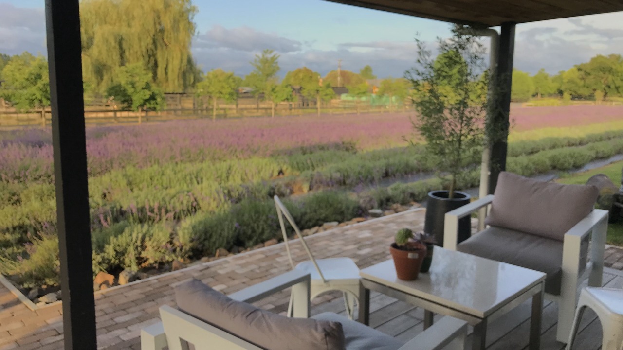 Photo of Patio Balcony in Cambridge