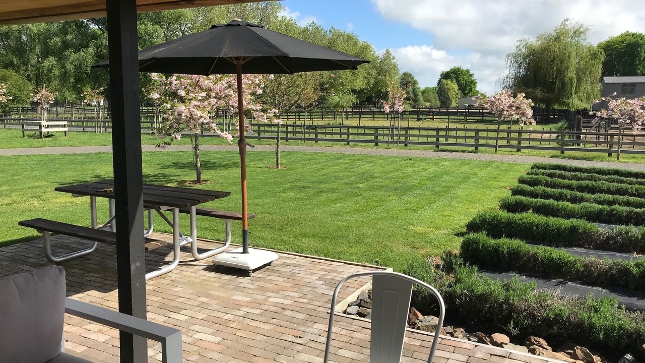 Photo of Outdoor in Cambridge