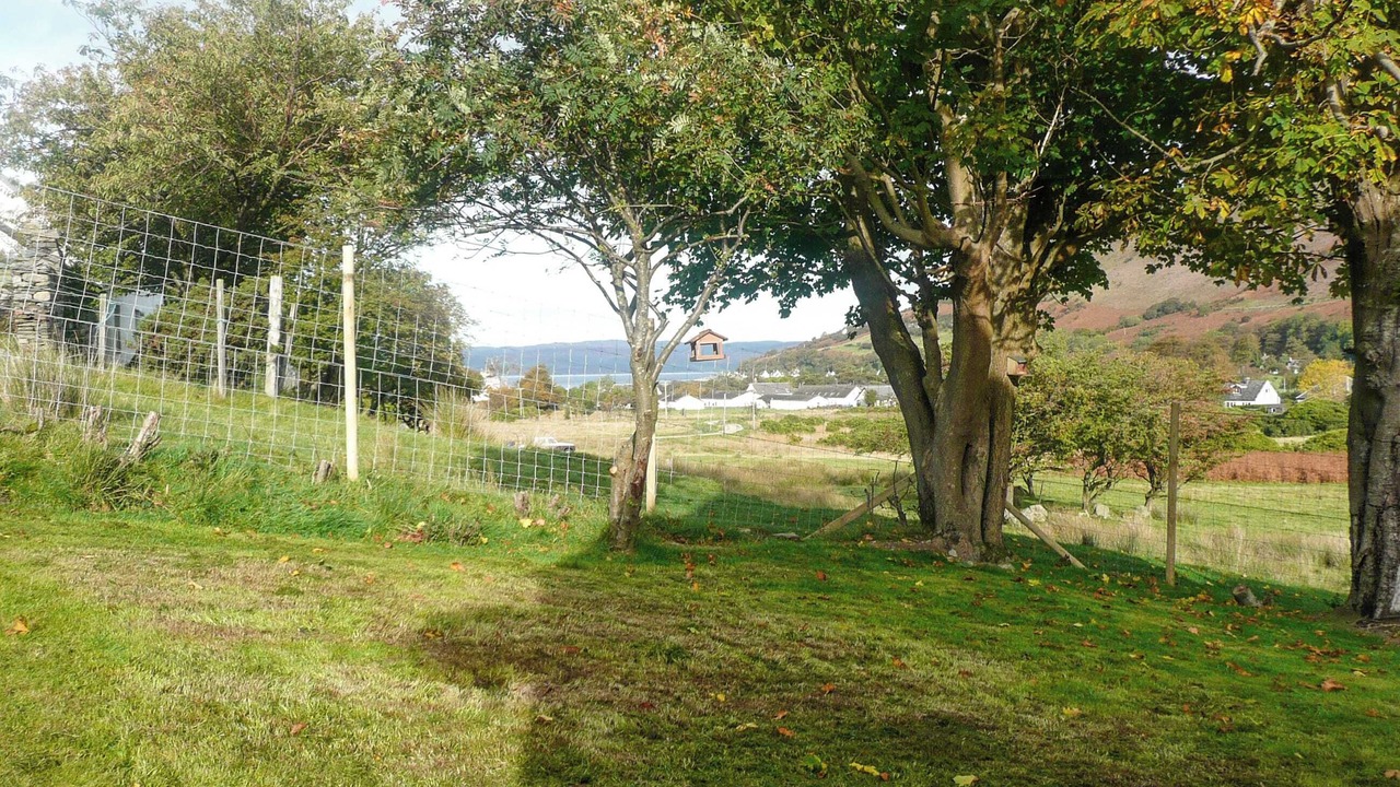 Photo of Outdoor in Lochranza