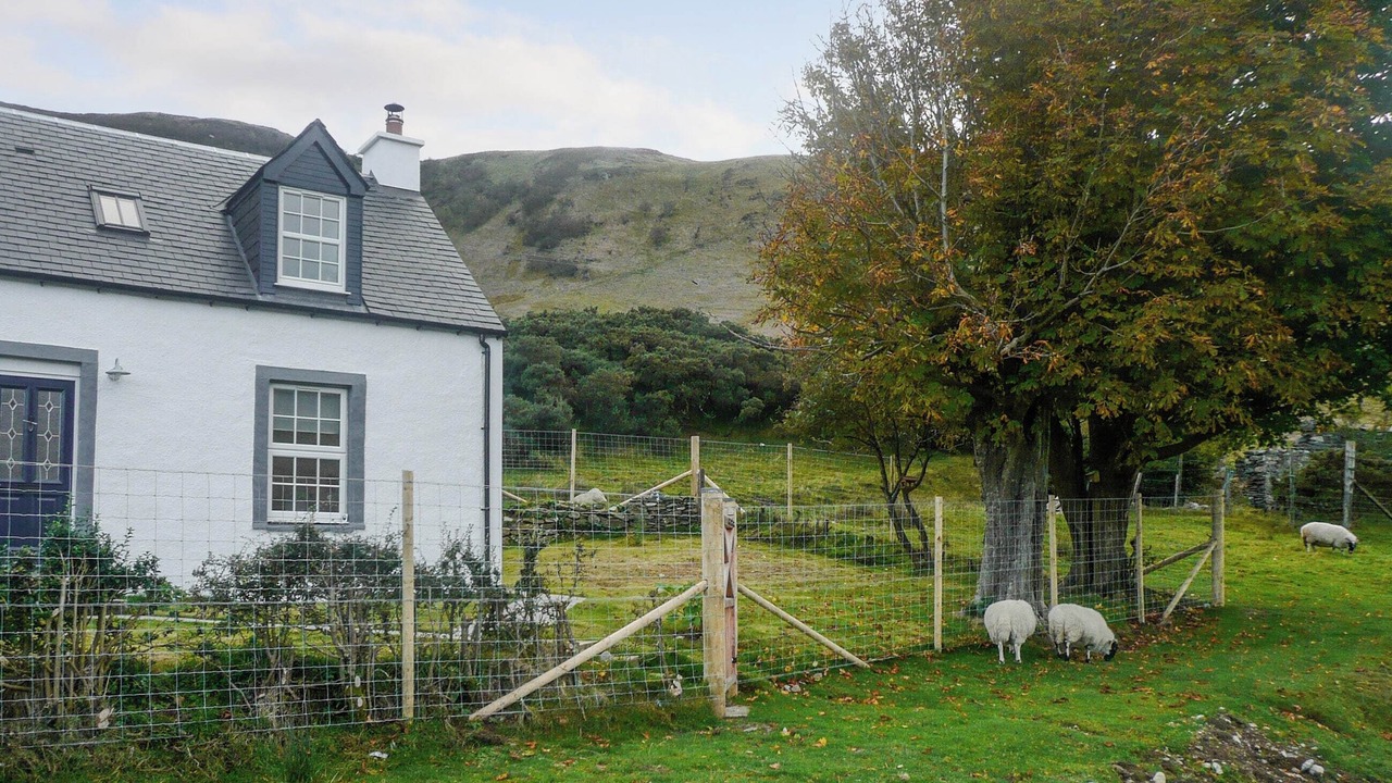 Photo of Outdoor in Lochranza