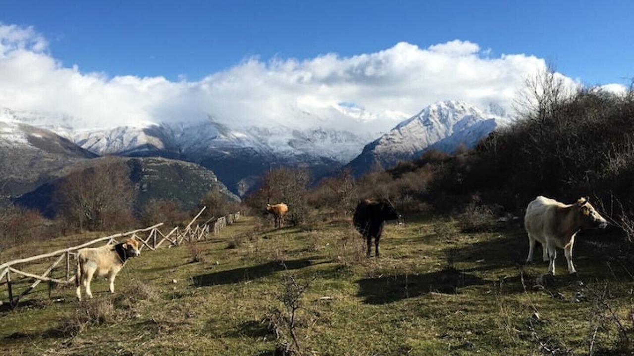 Photo of Outdoor in North Tzoumerka