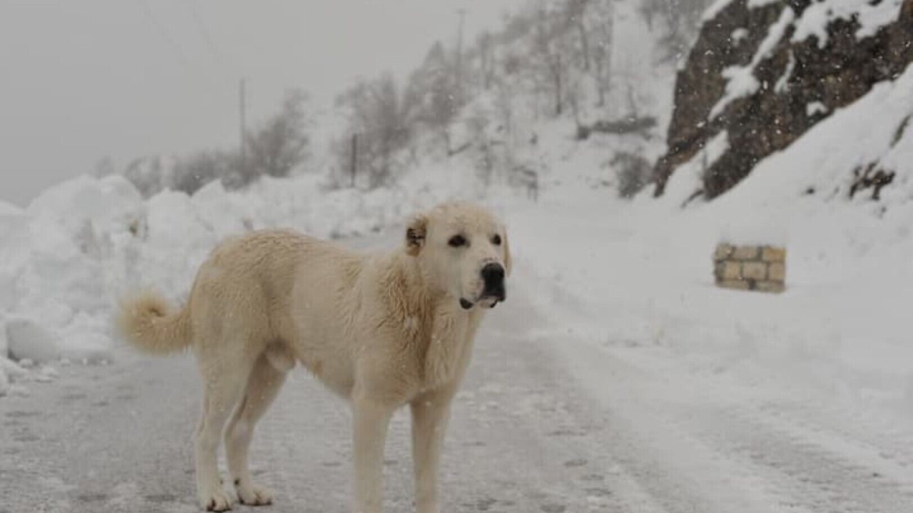 Photo of Outdoor in North Tzoumerka