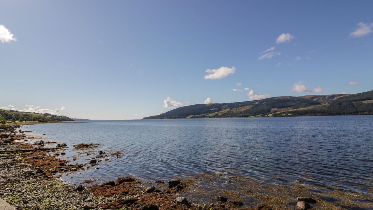 Photo of Others in Cove