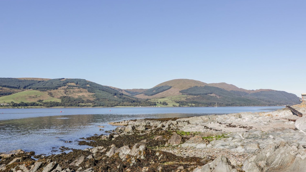 Photo of Others in Cove