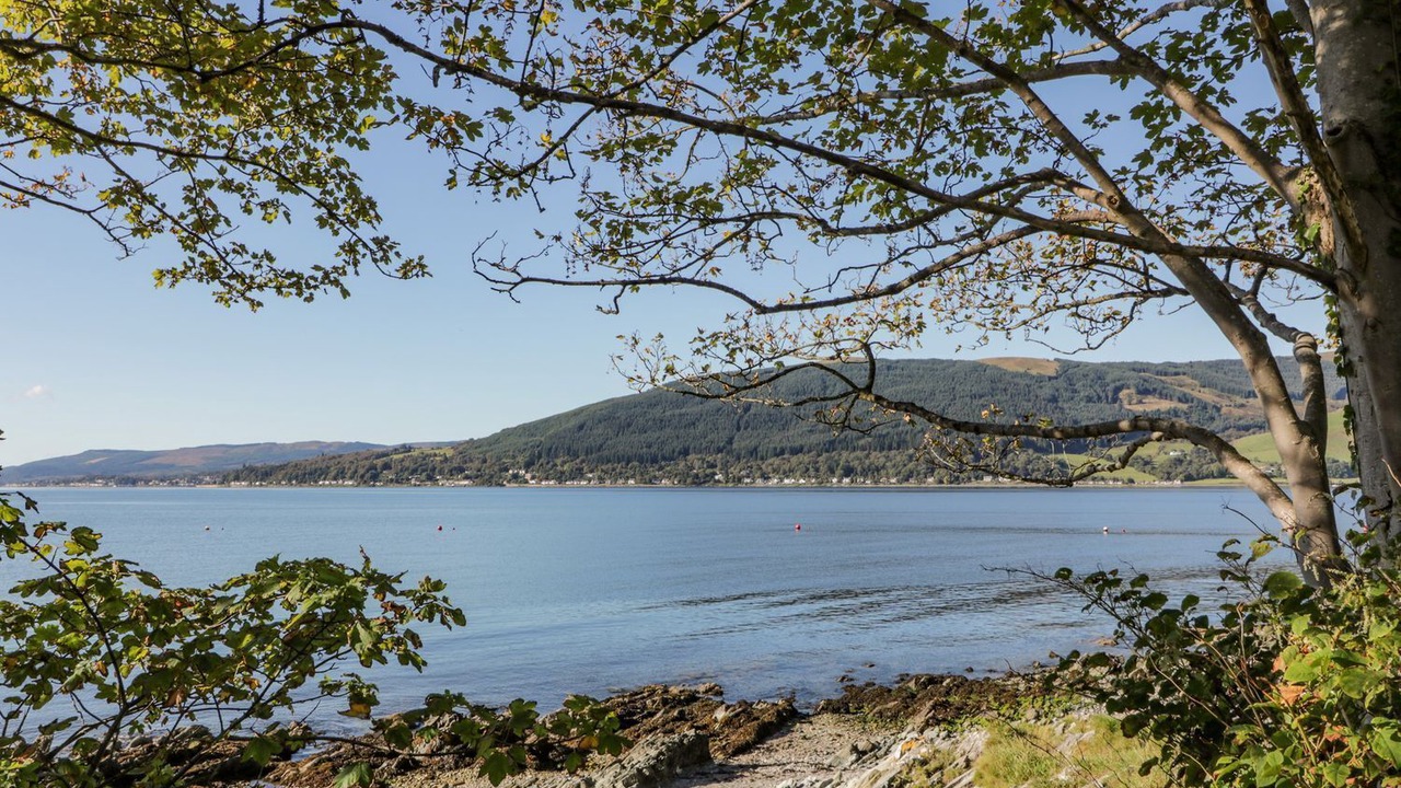 Photo of Others in Cove