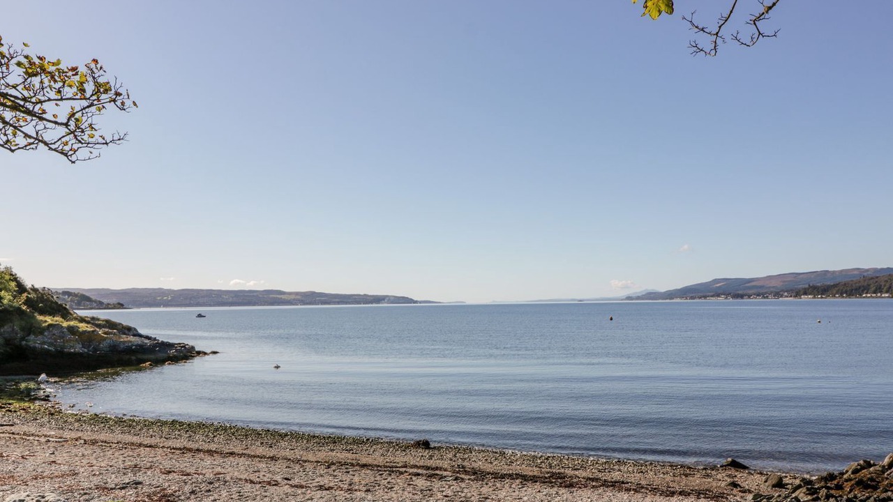 Photo of Others in Cove