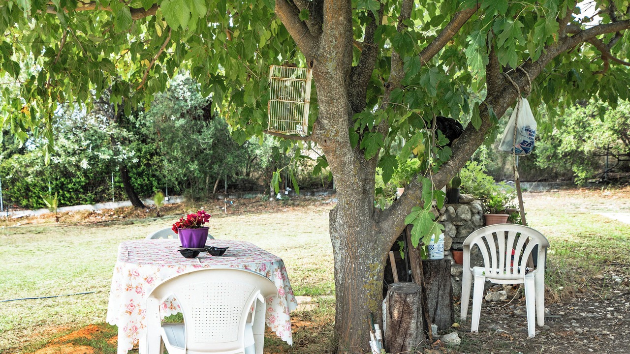 Photo of Outdoor in Valerianos