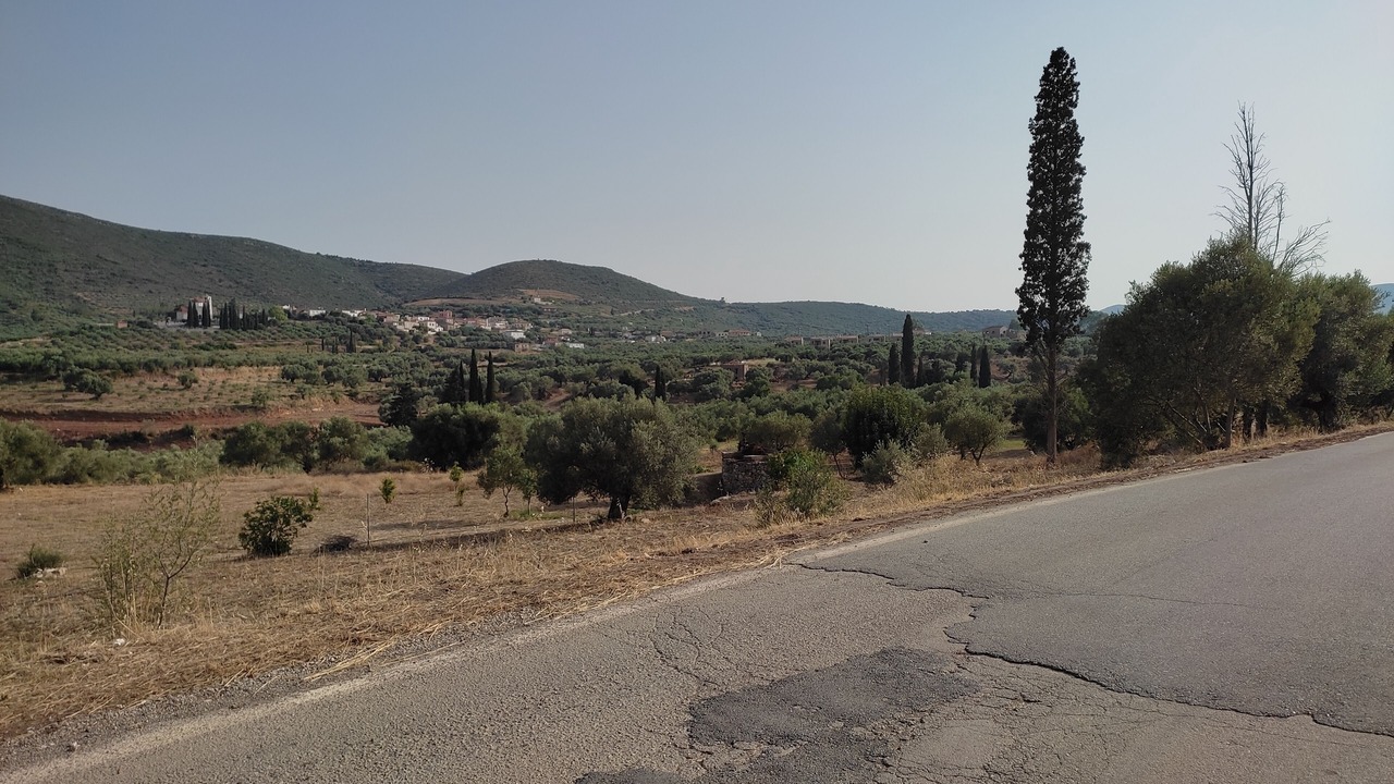 Photo of Others in Velies