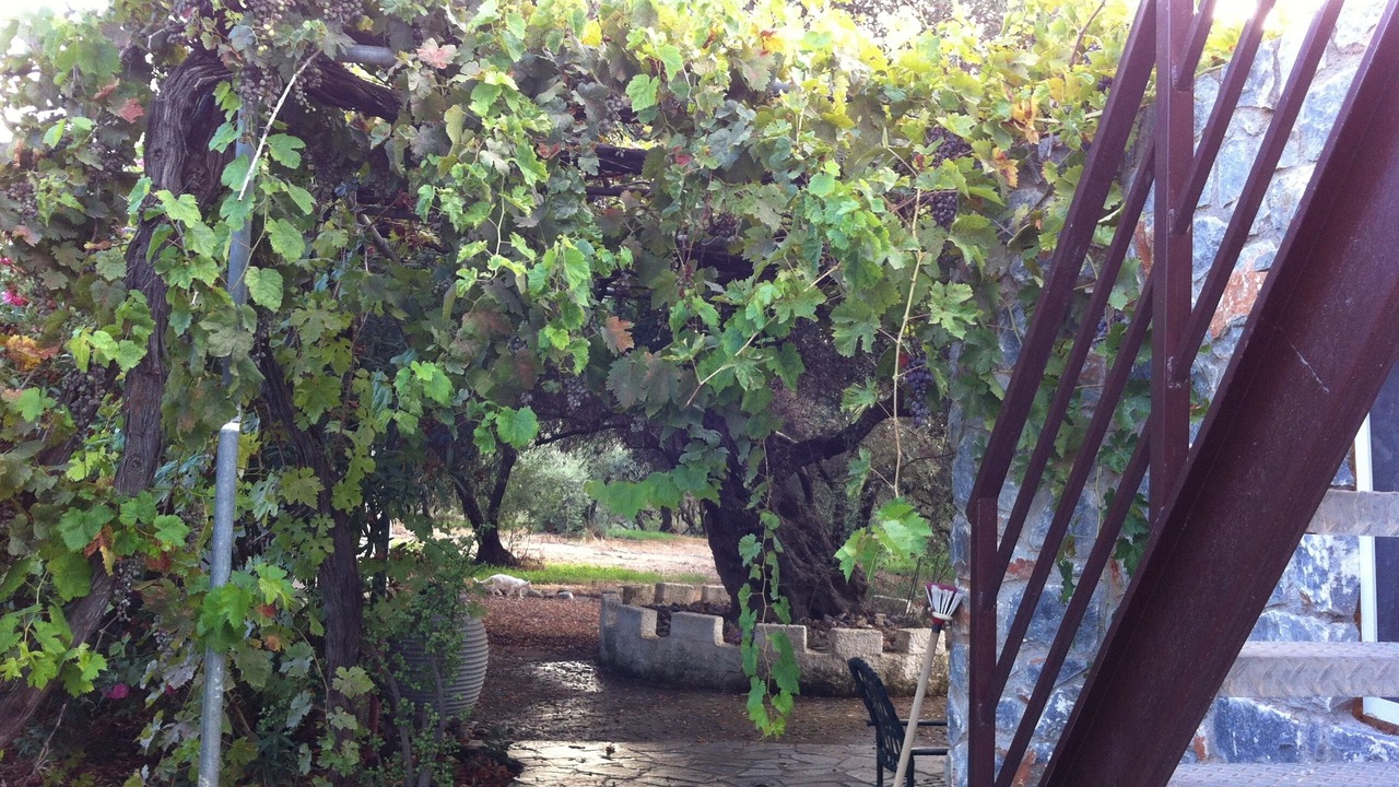 Photo of Outdoor in Galatas