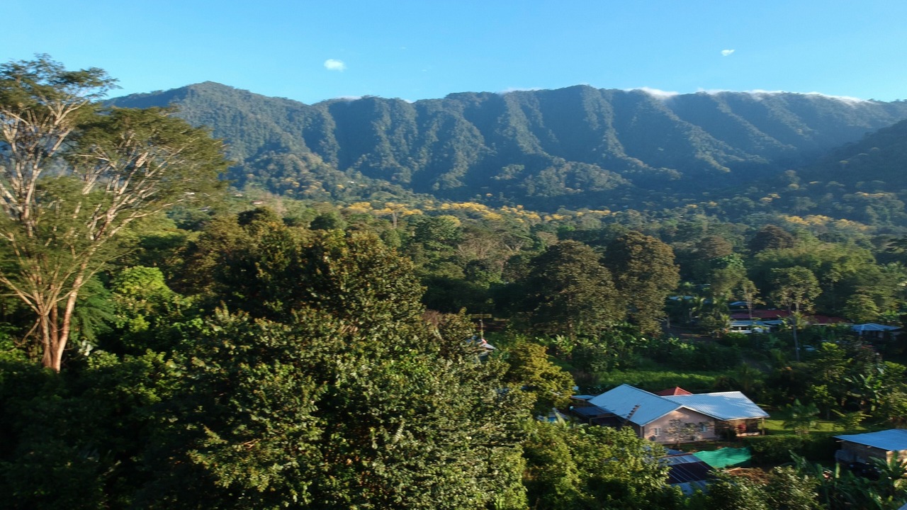 Photo of Patio Balcony in Ojochal