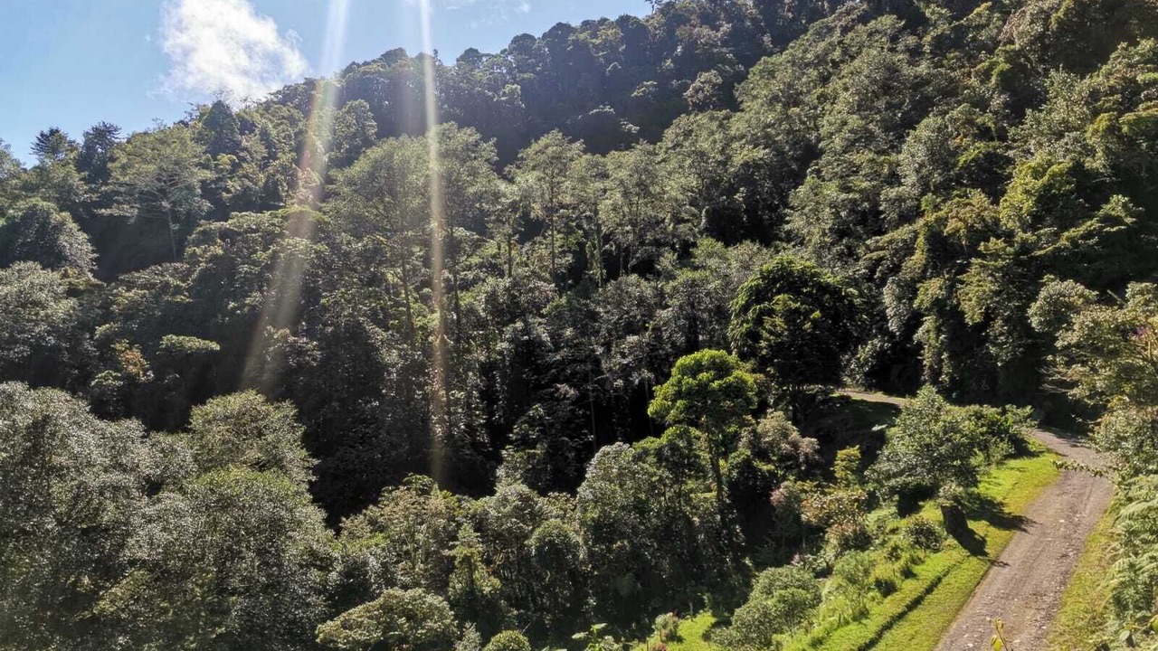 Photo of Outdoor in San Isidro