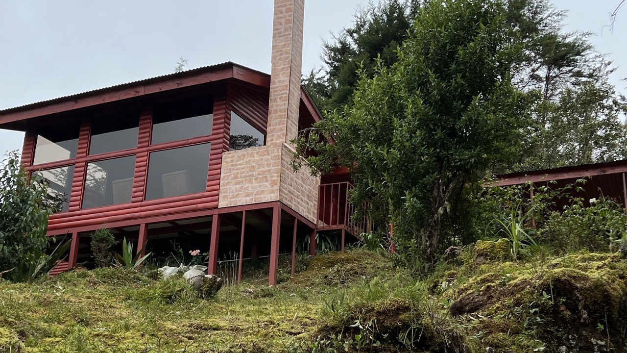 Photo of Outdoor in Paramo