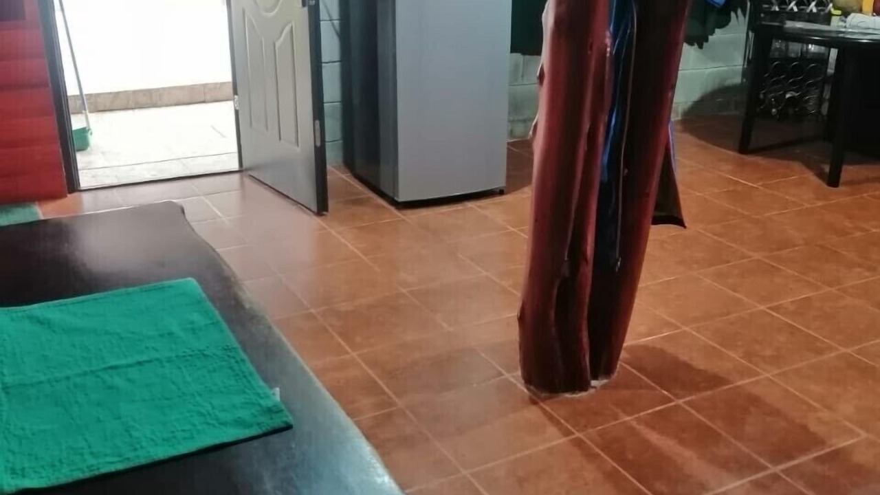 Photo of Others in Paramo