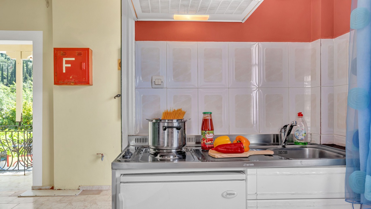 Photo of Kitchen in Vathy