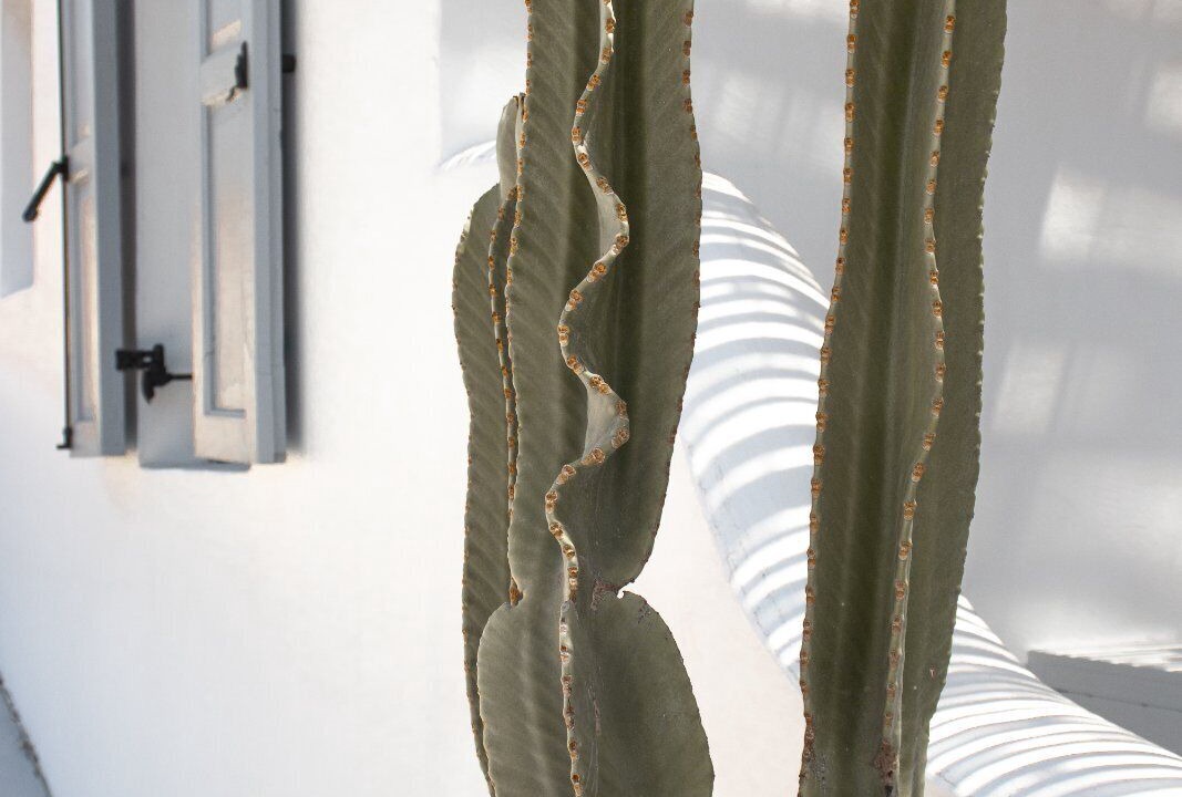 Photo of Outdoor in Skala