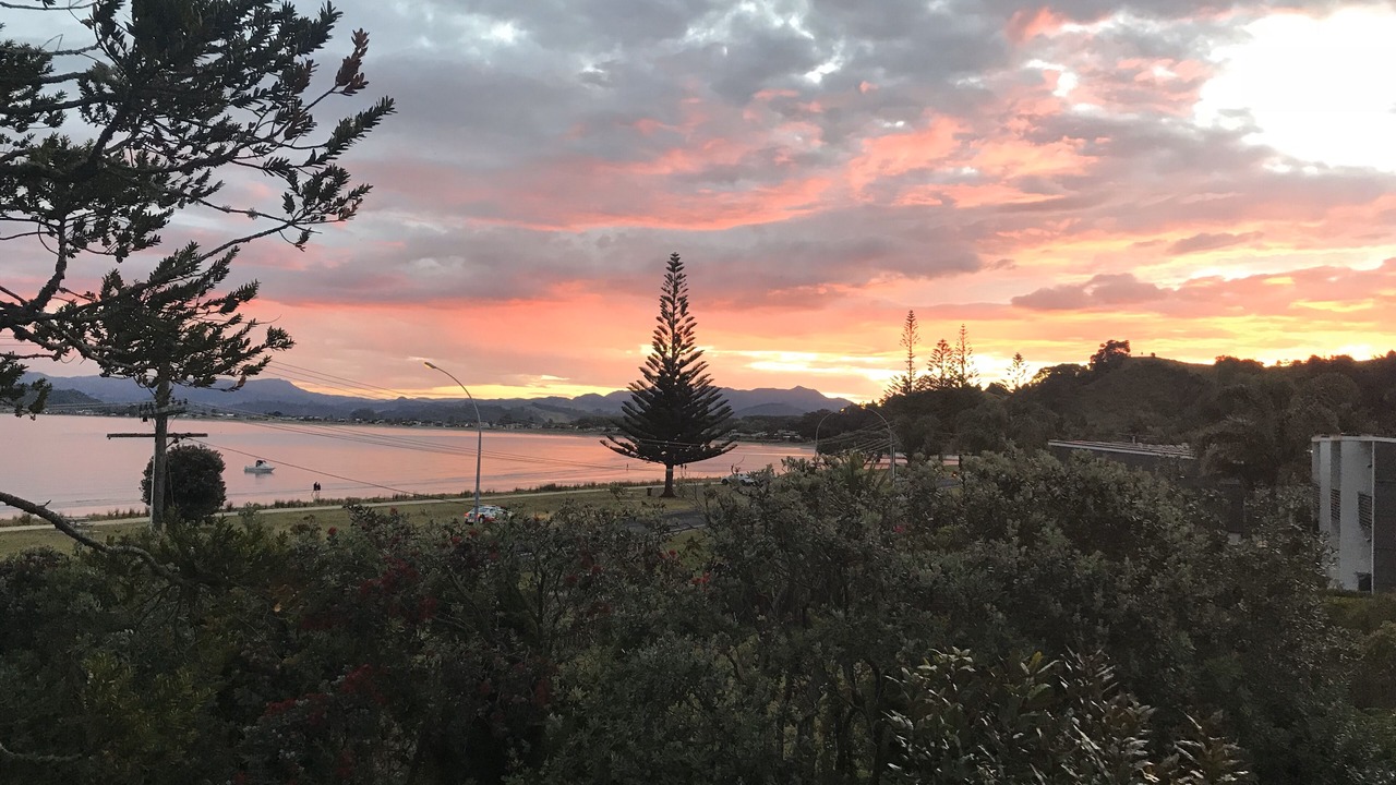 Photo of Others in Whitianga
