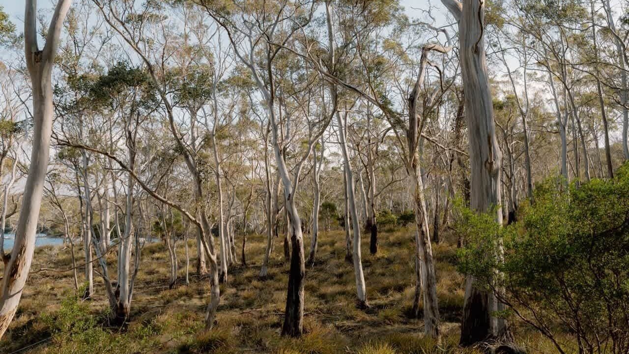 Photo of Others in North Bruny