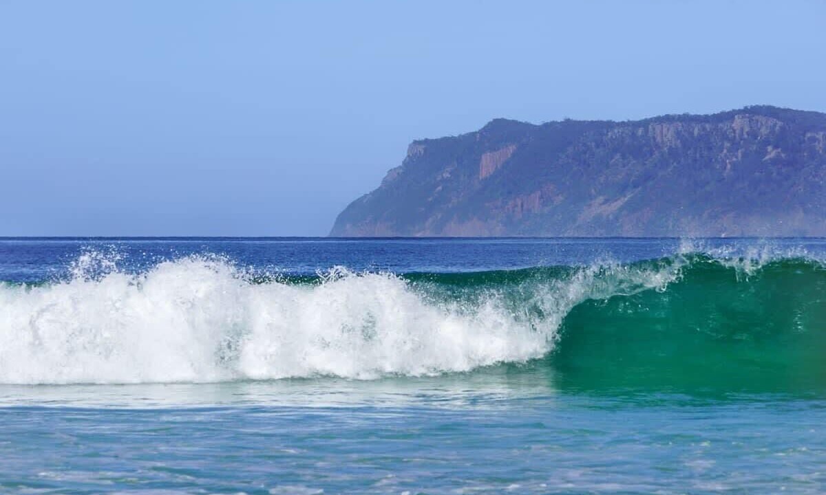 Photo of Others in North Bruny