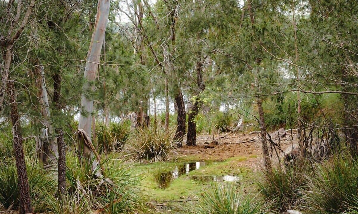 Photo of Outdoor in North Bruny