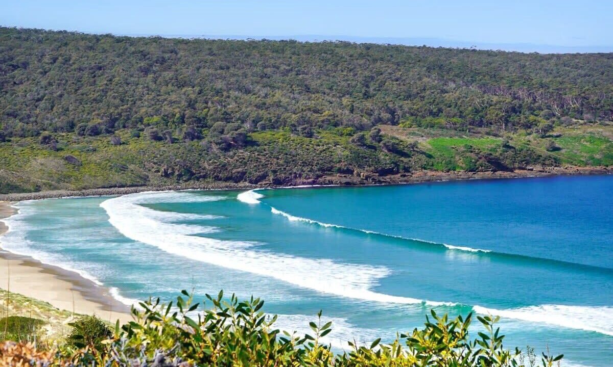 Photo of Others in North Bruny