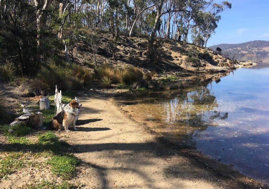 Photo of Others in North Bruny