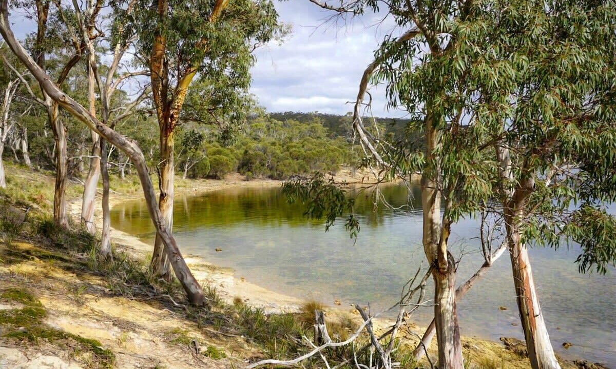 Photo of Others in North Bruny