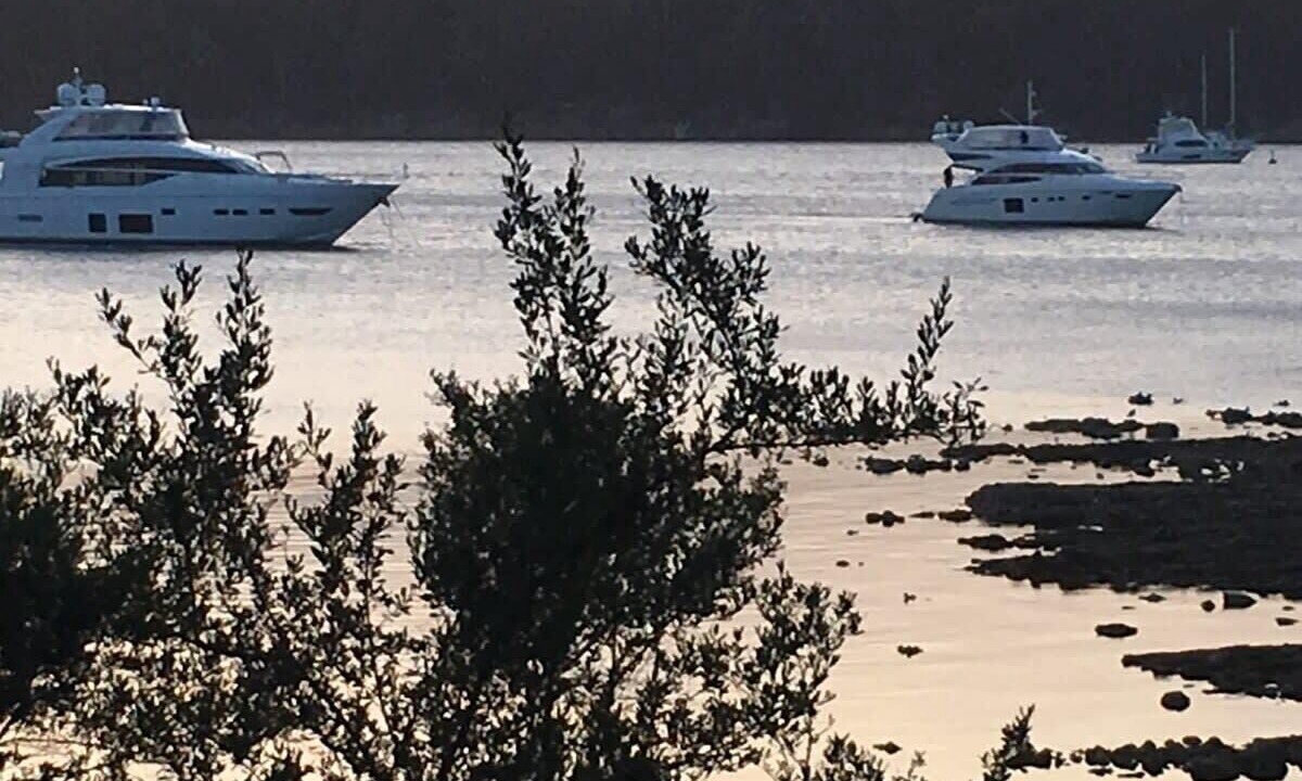 Photo of Others in North Bruny