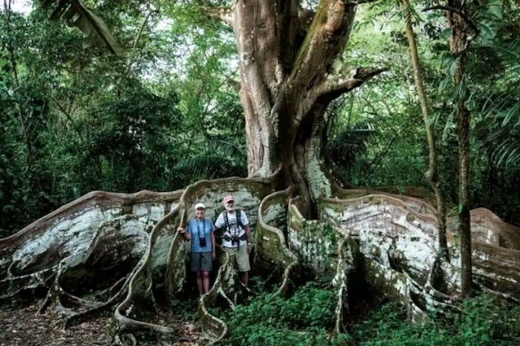 Photo of Outdoor in Baru