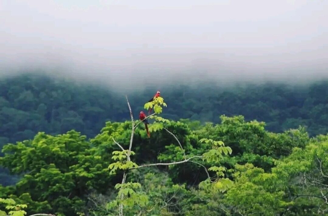 Photo of Outdoor in Cascada Azul