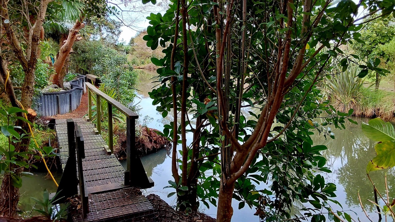 Photo of Outdoor in Whakamarama